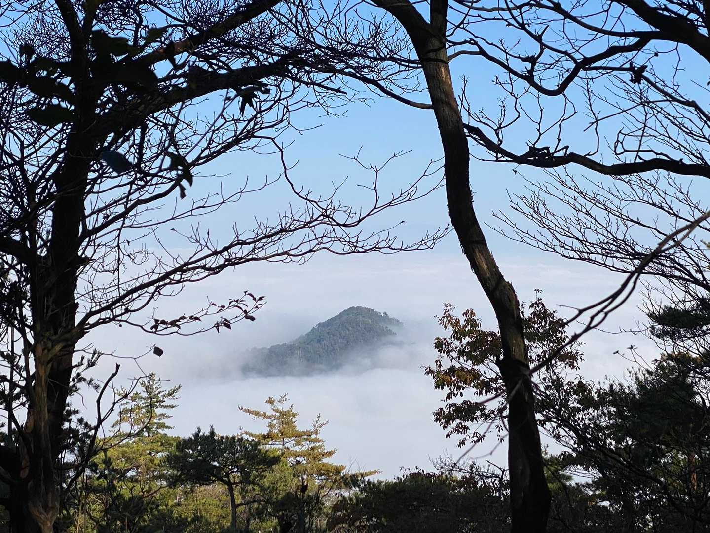 雲海