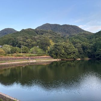 五分待ちました。
日が出て来た。