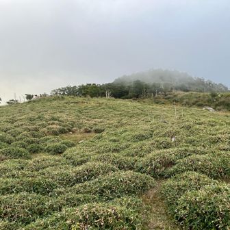 テント⛺️場は誰もいない