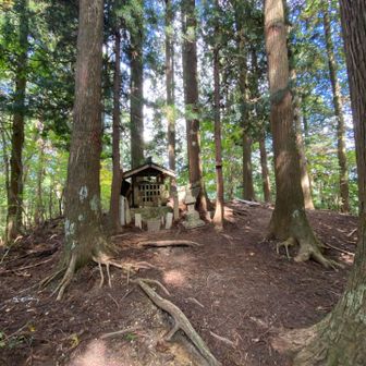 山頂の様子