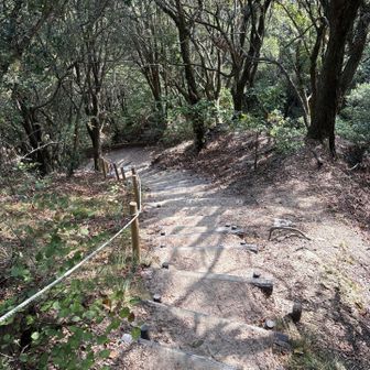 馬の背を過ぎたら緩やかな下りです。