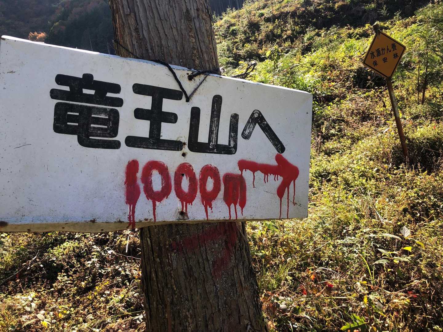 相変わらず不気味です
実験地に入ります