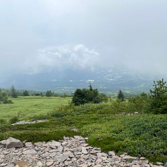 子根子岳山頂から。