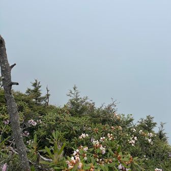 真っ白🤍
山々が見えるはず😭