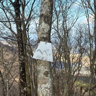 (o´罒`o)ﾍﾍｯ♡  へべ山だよ (o´罒`o)ﾍﾍｯ♡