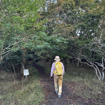 てくてく

👖で誤魔化すと足長効果有り🤭

話題変わって…

タバコ吸う方はいつの間にか
火をつけて吸いますよね🤭

タバコ吸おうとか考えないもんね笑笑

それと同じなのさ✌️

なんのこっちゃ🫩
