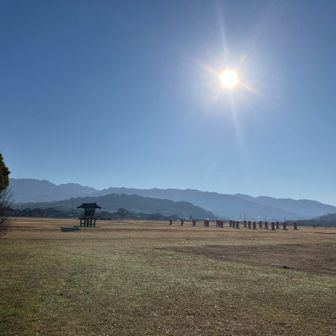 藤原京の中を通る☀️どこ歩いてもいいんやね🤔