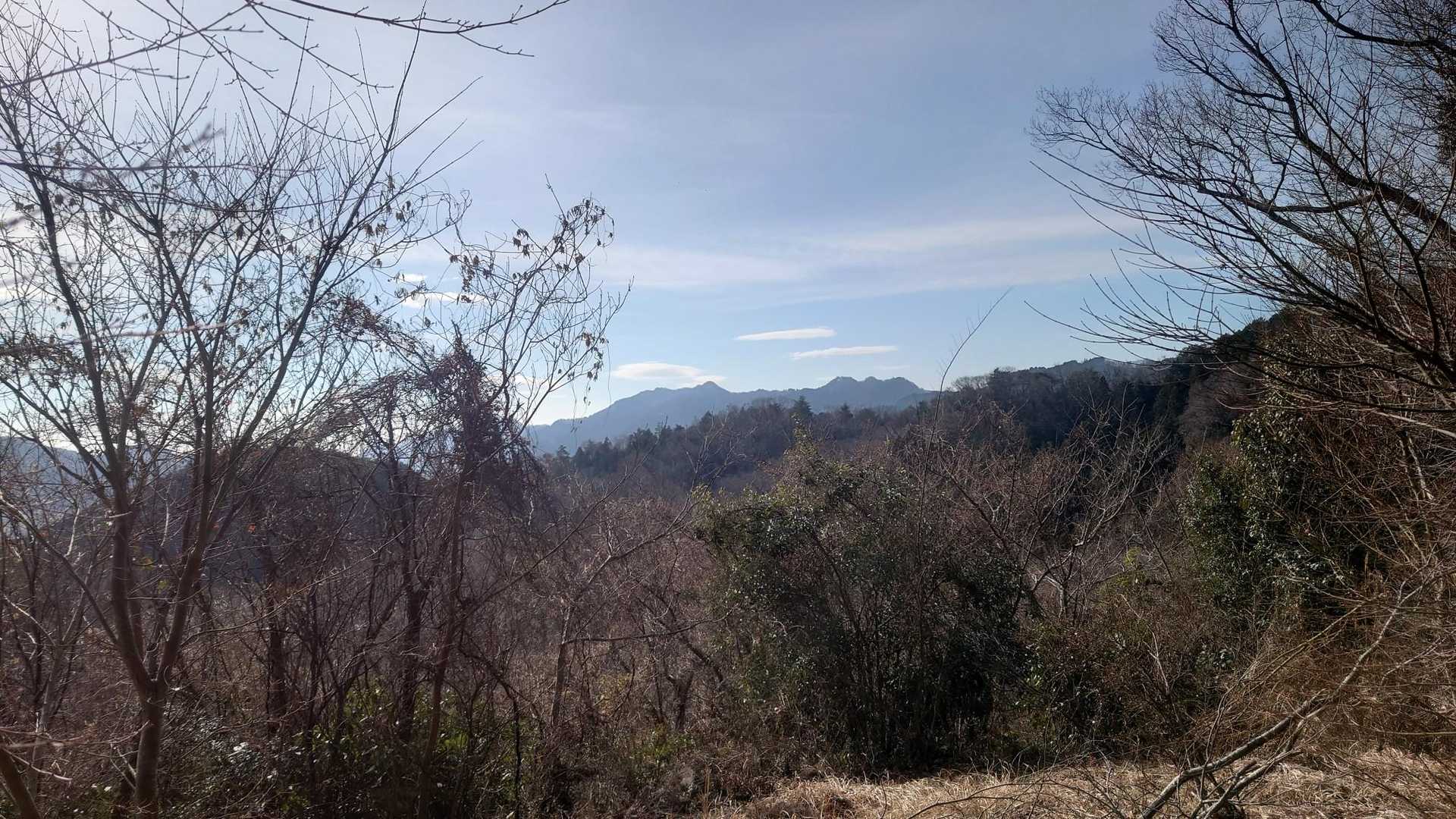 いい景色