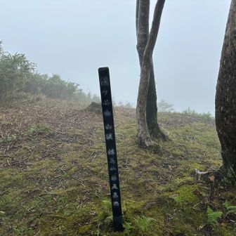 鍋ヶ屋山山頂。