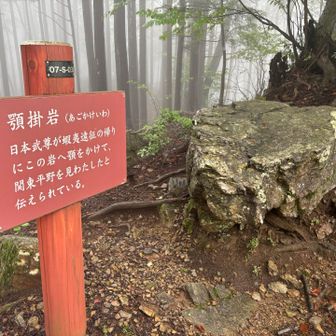 顎掛岩🪨この岩に顎をかけて関東平野を見回したとのこと。
そもそも、なんで、岩に顎かけたのw