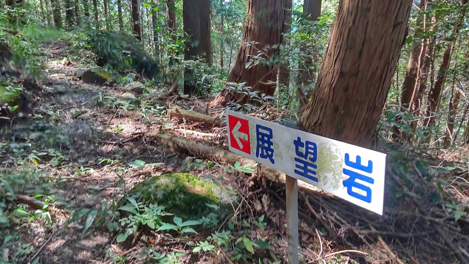 整備された登山道を下るとアレ！破線ルートから外れていき、そのまま林道に。
こちらの展望岩は木々に遮られて見えない😅