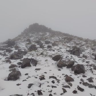 篭山(1542m)
右側(這松)から登る
・登山道なし