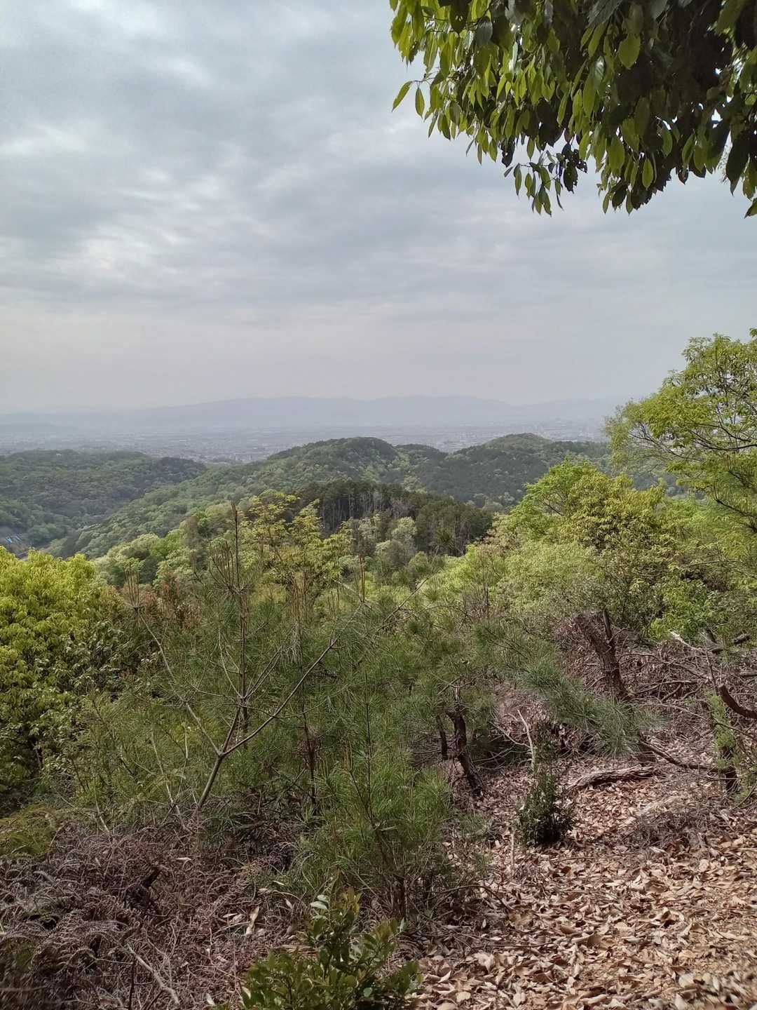 高雄山登り口-高雄山 周回コースの写真