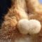 ねこたま