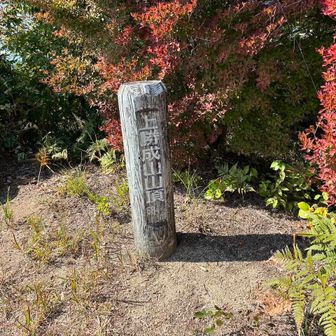 山頂到着