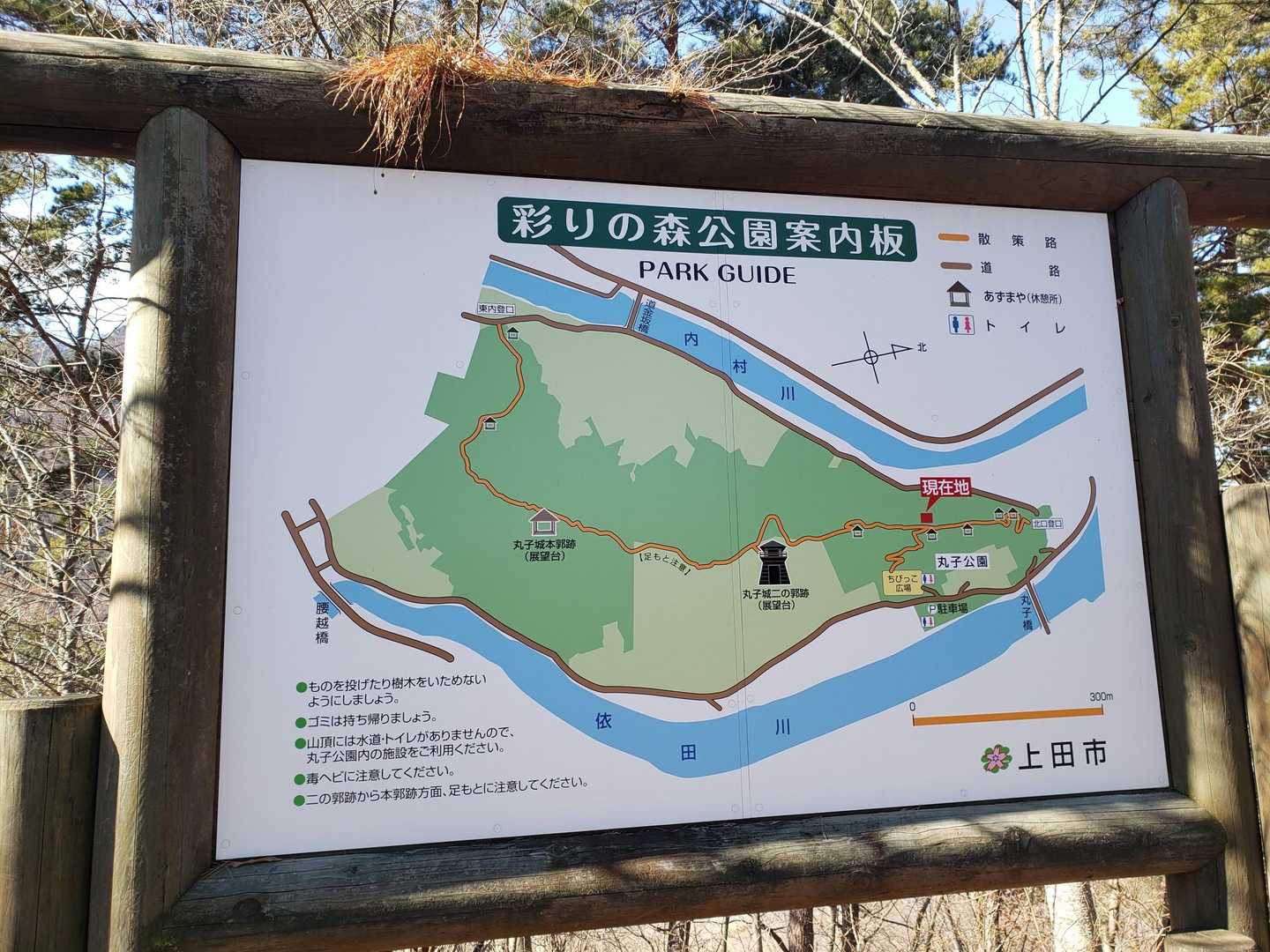 丸子城山 往復コースの写真