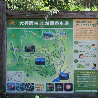 遊歩道案内図