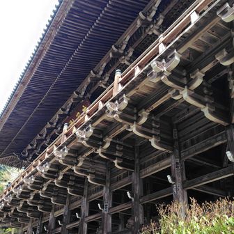 摩尼堂の側面　さすが日曜
大勢の方がお参りされていた。