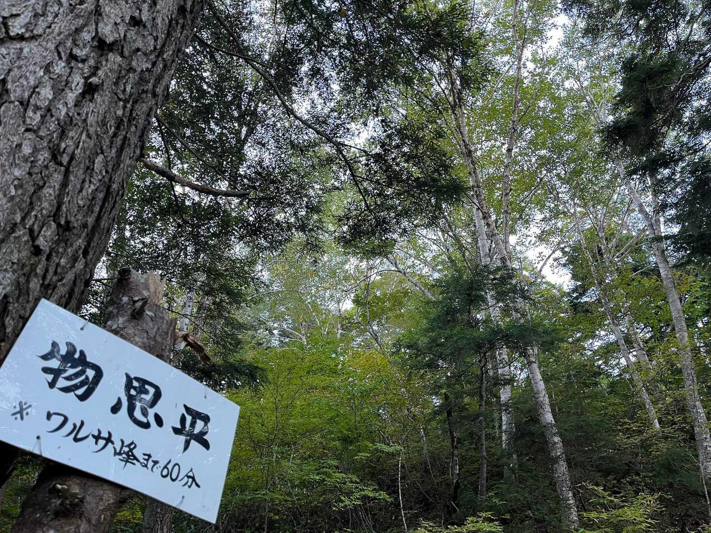 物思いに耽るよ
健脚な方なら、ここからワルサ峰までは30〜40分
