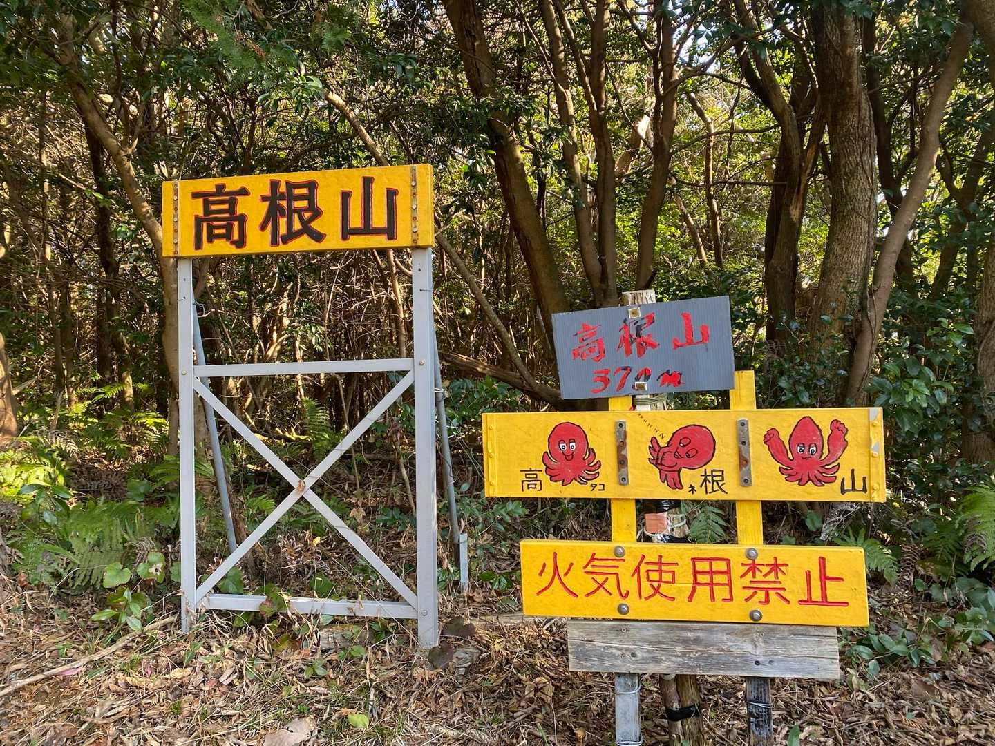 たこね山と読むらしい