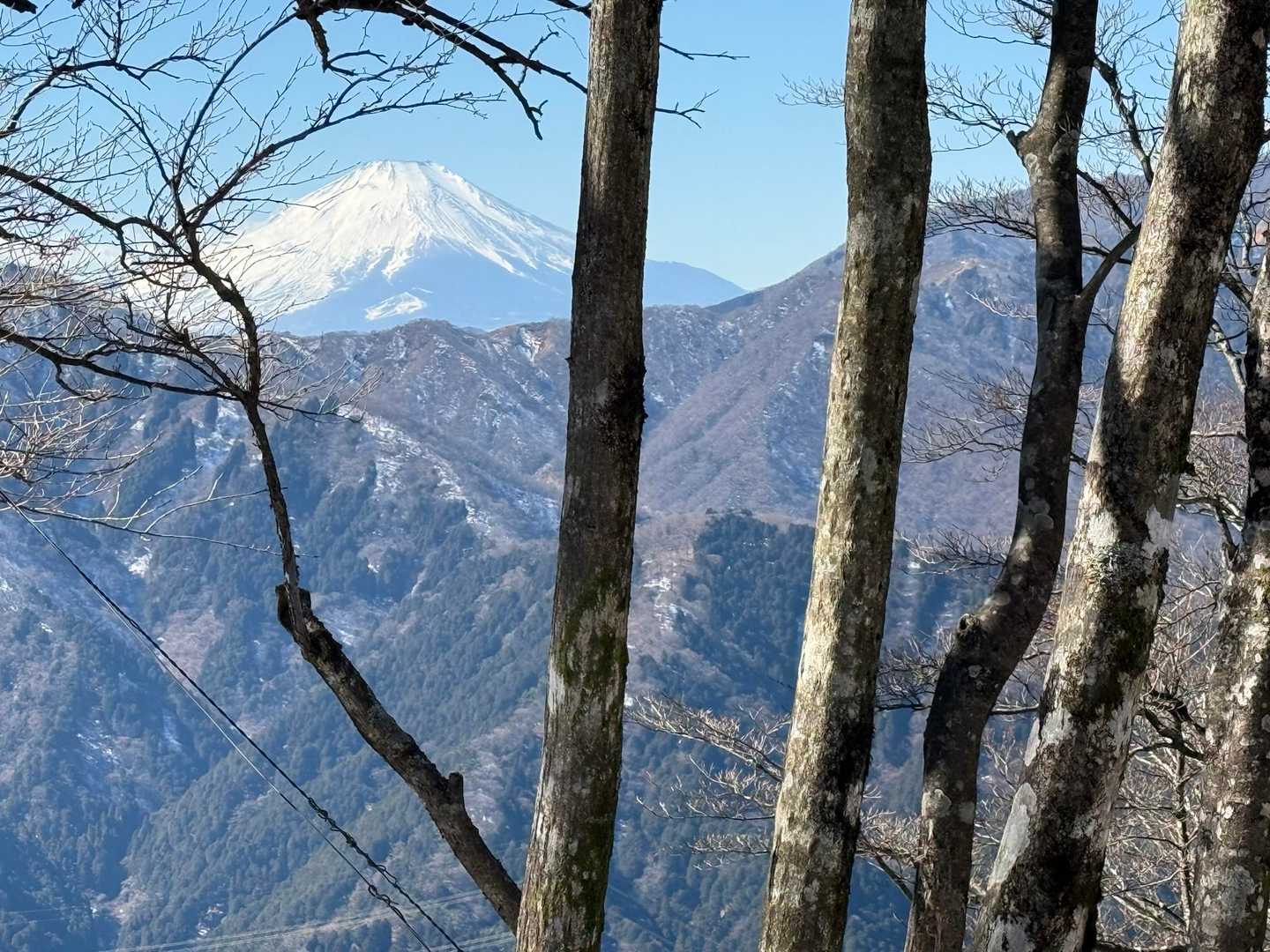 境沢ノ頭-ミズヒノ頭-西沢ノ頭-大山-頂上登山口-大山ケー 縦走コースの写真