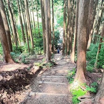 東峰から一旦降ってー