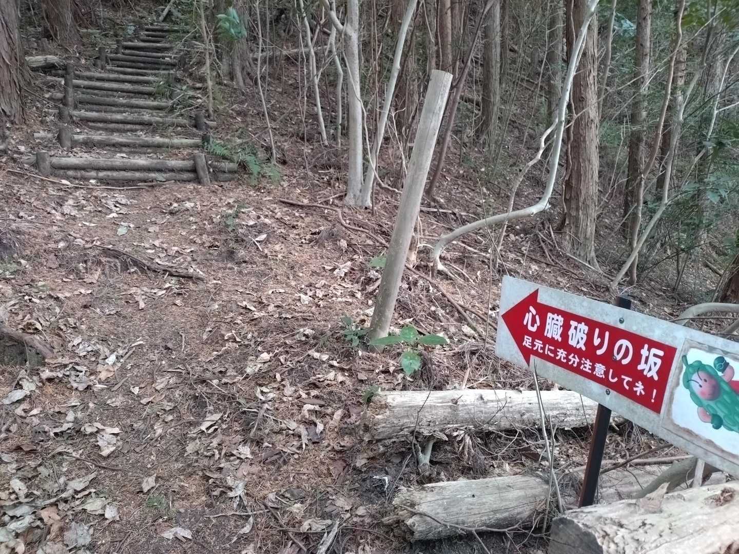 結構な急坂で運動不足の身体にはこたえました🤣