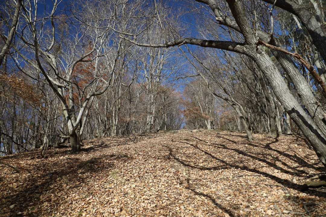 広々としている