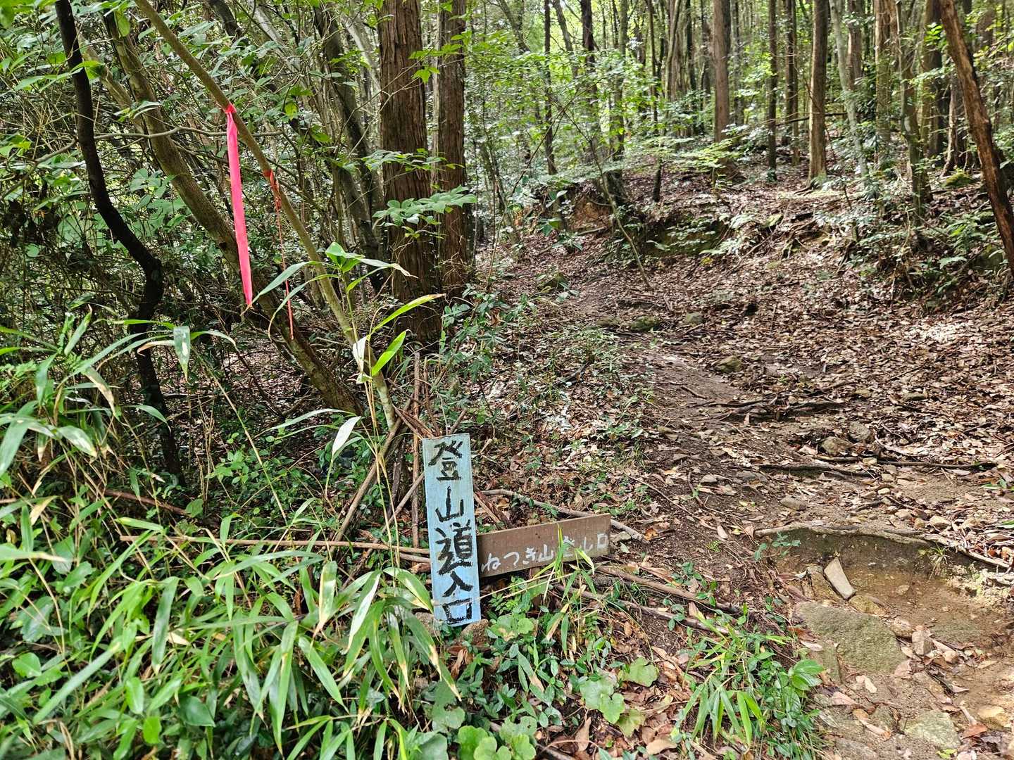 結構な急坂を下ってきました⛰️