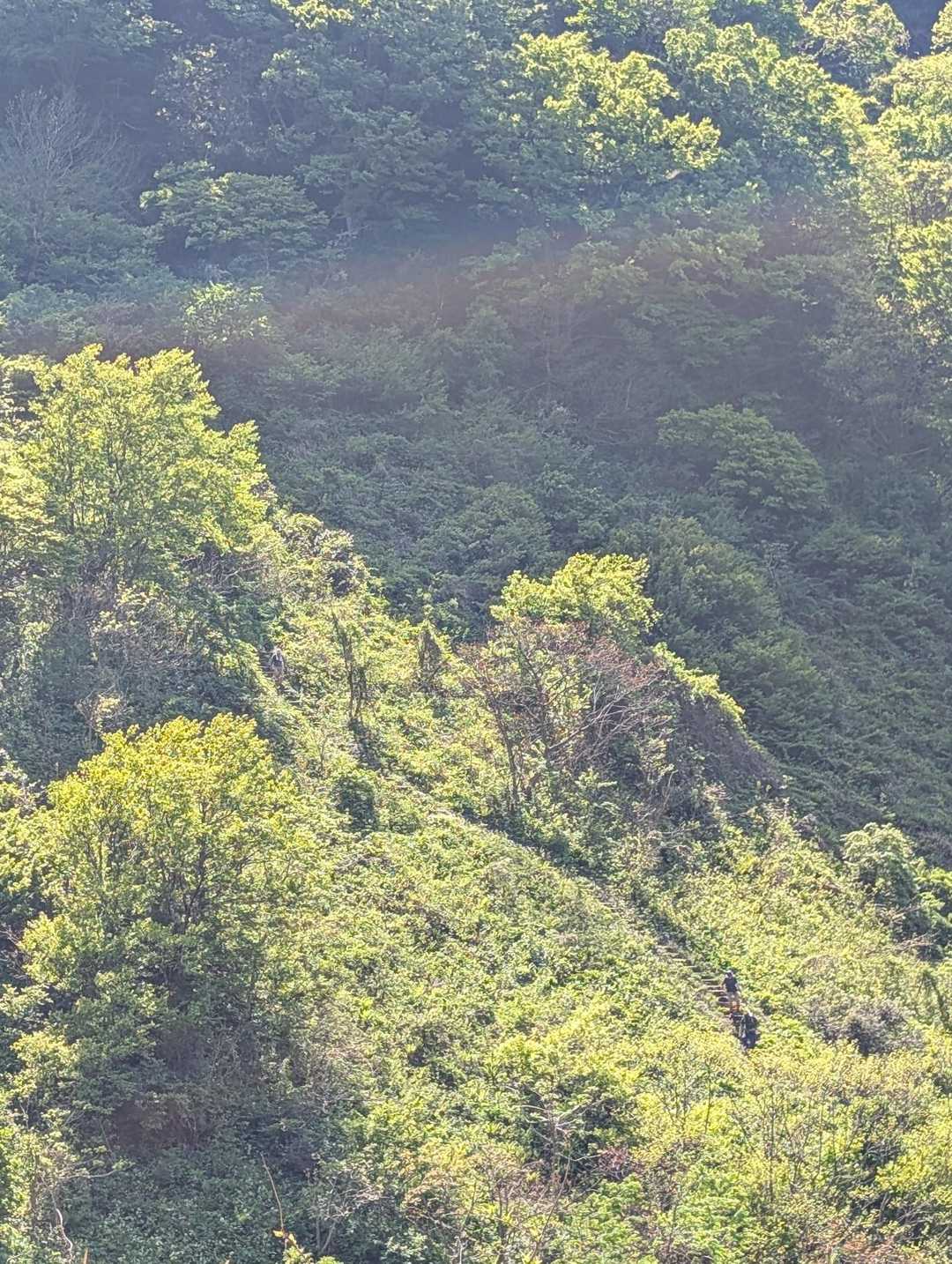 地獄の階段下る人々
気を付けてねー！
とーっても気持ち良かった菅名岳でしたー！