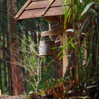 望遠しかないので