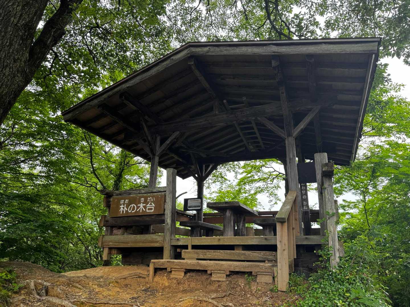 朴の木台に到着