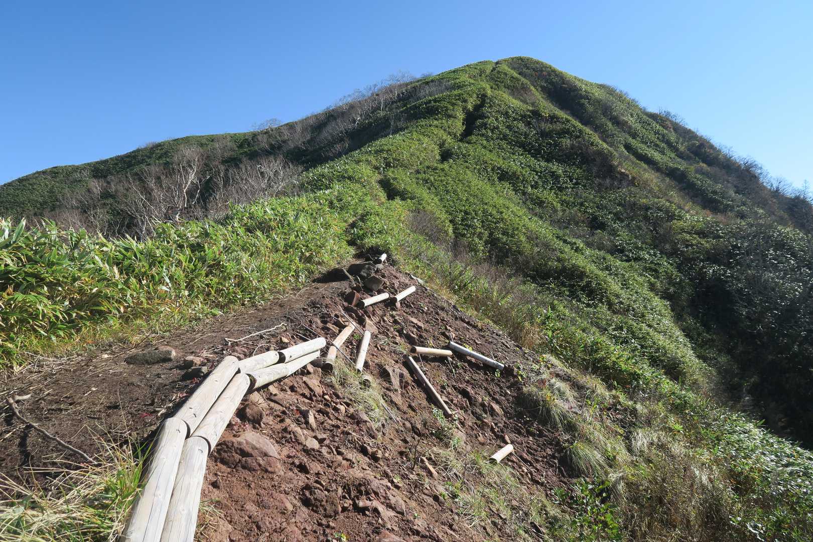 息絶え絶えに登ります