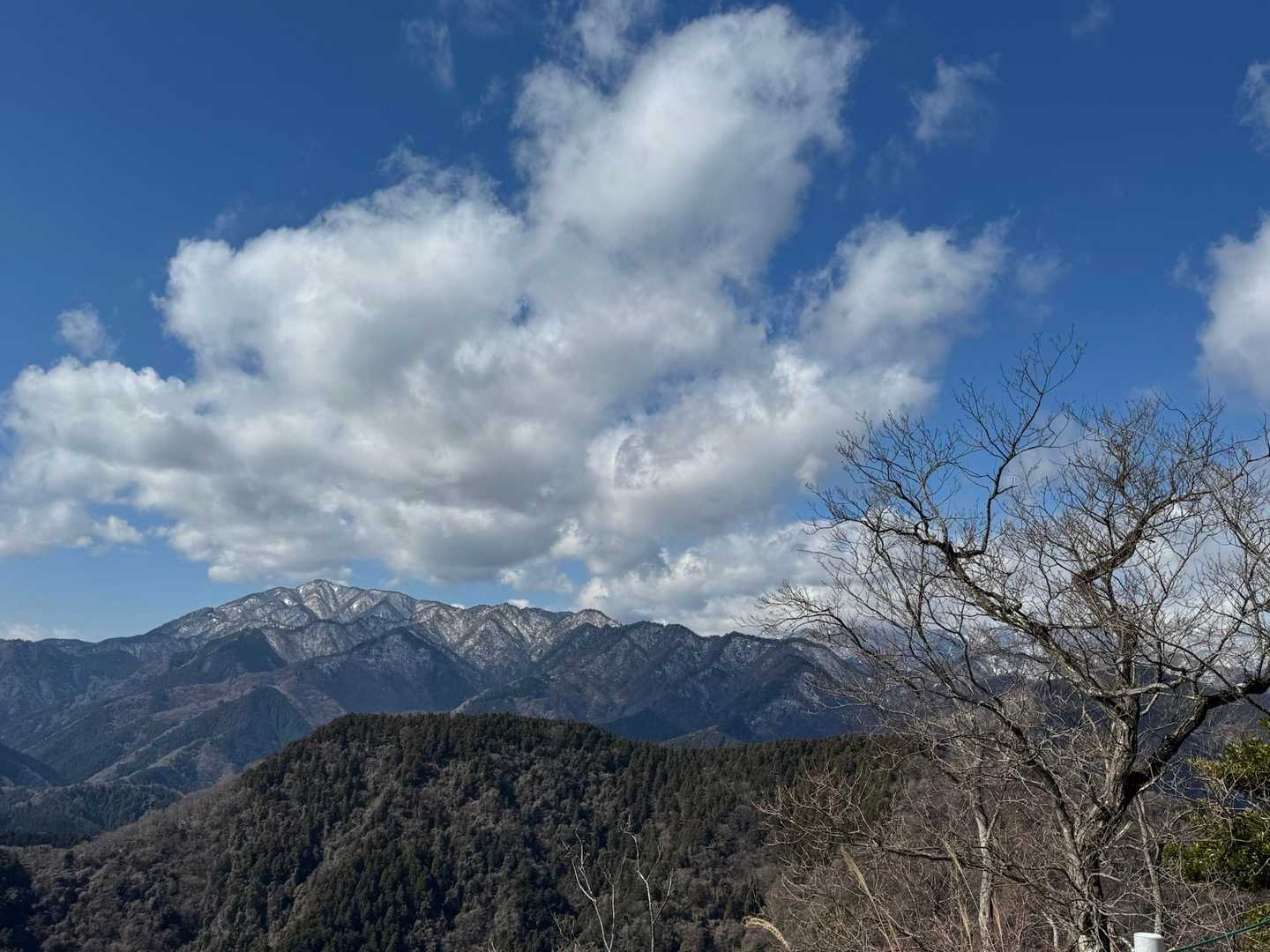 おぉ〜
左端の大山から、丹沢の山が雪化粧で美しい