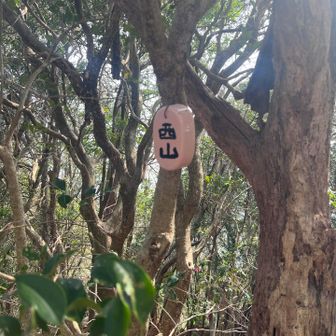 さぁ、下山しましょ💨