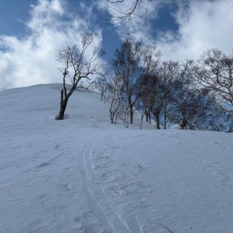 ややカリカリ路面
スノーシューもしっかりと噛んでくれます