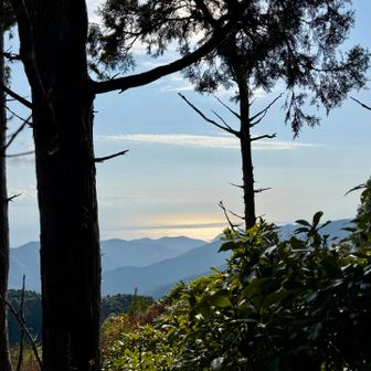 山頂からの太平洋