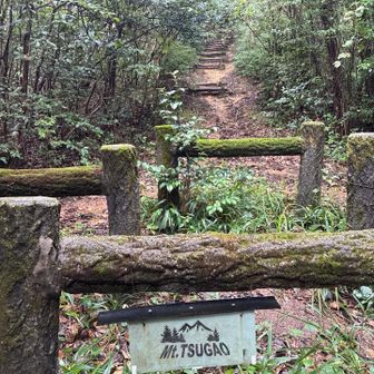 さあ，さあ，激登りだぜ！