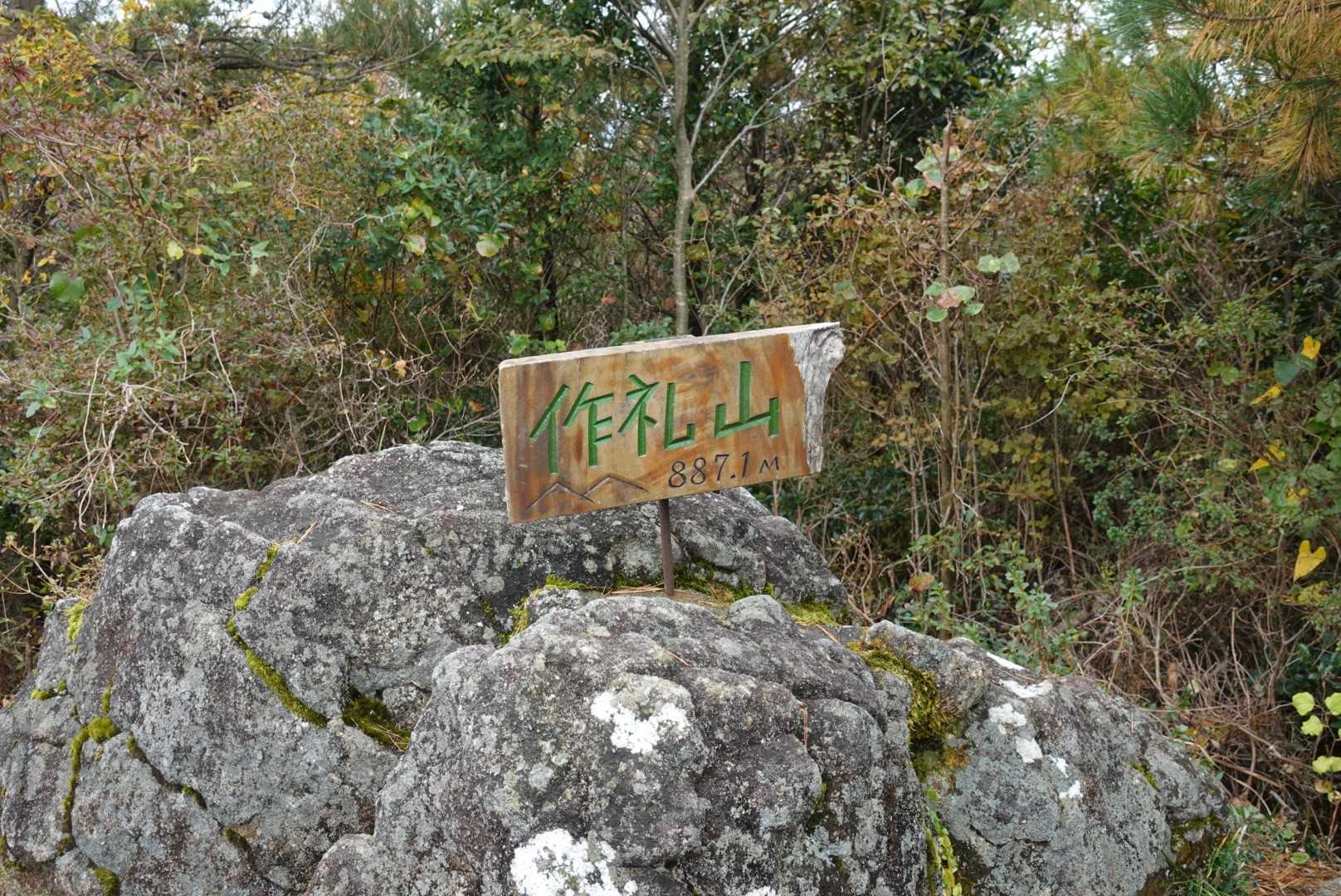 登頂⛰️✨