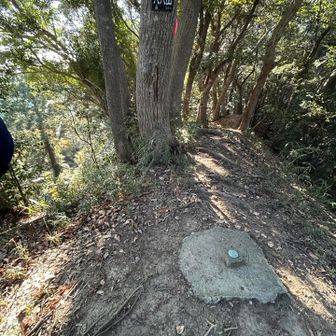 パパ山
標高88m
山名が標高って素敵①