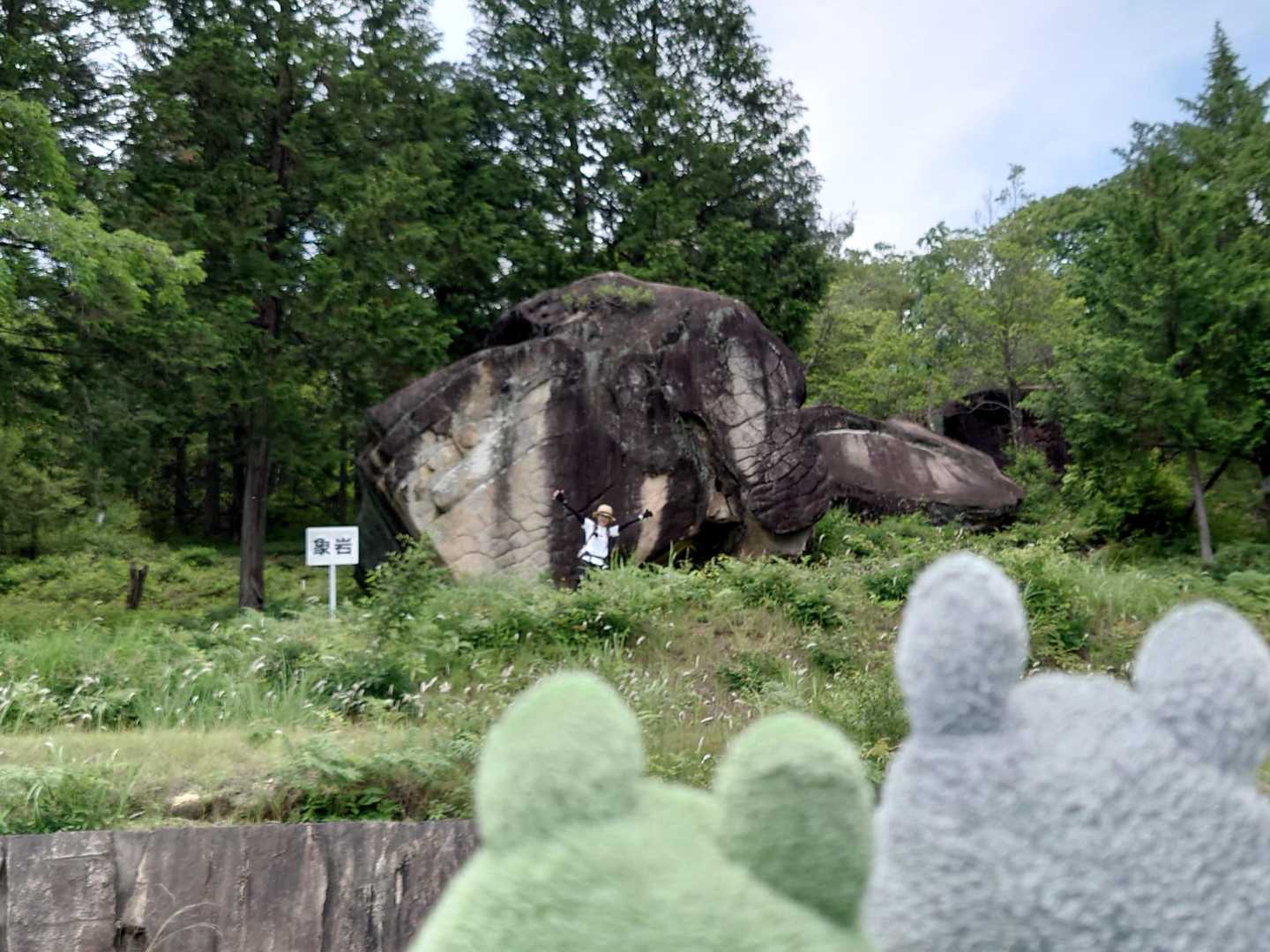 巨大タコ🐙が、モニュメントだったため、ガッカリした探検隊の目👁に飛び込んできたものは...
カカ:今度は、象🐘岩🪨だって〜ꉂ🤣𐤔