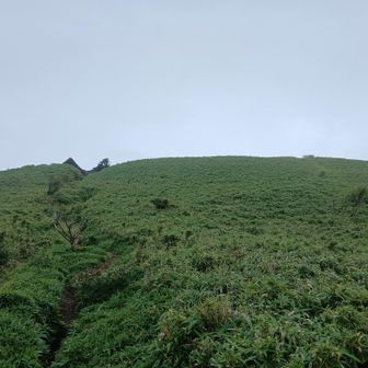もうすぐ駒ヶ岳の山頂域