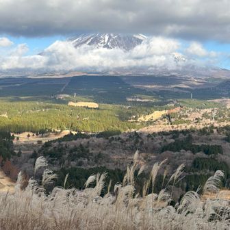 展望台より。早朝はまだ雲がかかってなかったよう