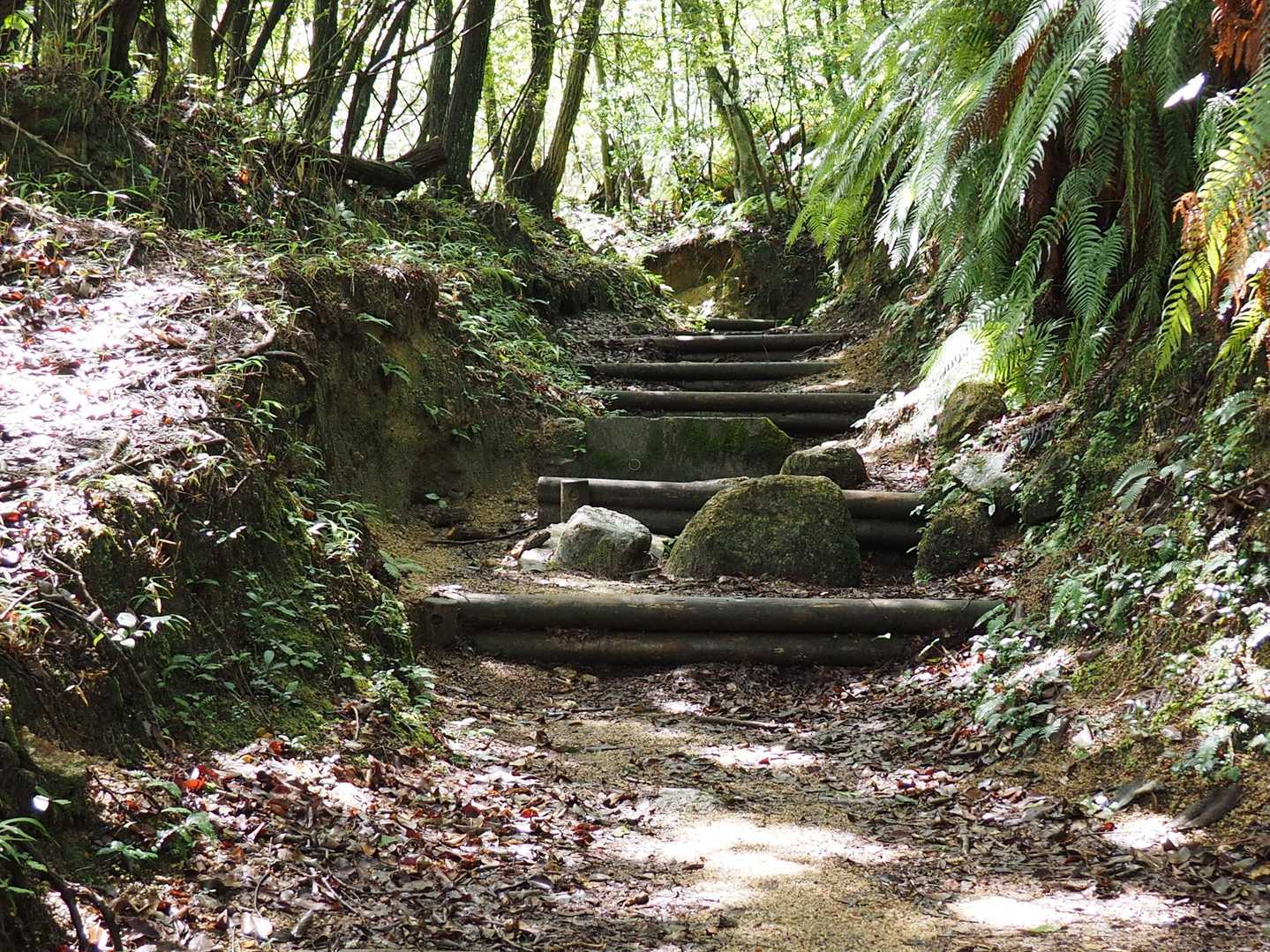 段差の多い道。高温多湿・無風で、最初からつらい歩きとなった。