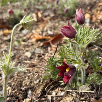 可愛すぎる🥺
会えて嬉しかった！