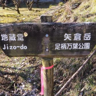 帰りは正規のルートで。
よく整備されてました。
登りはアドベンチャーでしたので。