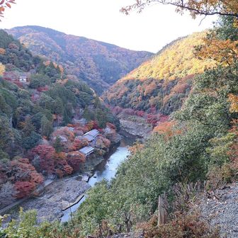 トロッコ列車が川の右側をこちらに走ってきてます
赤いもみじのなか
光が見えました
