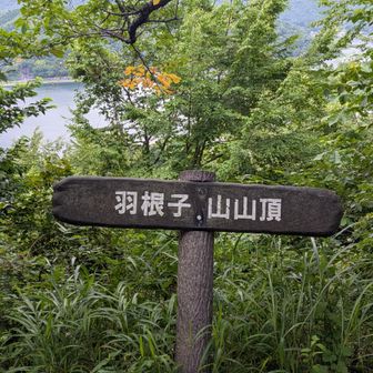 ラストのピーク到着👐