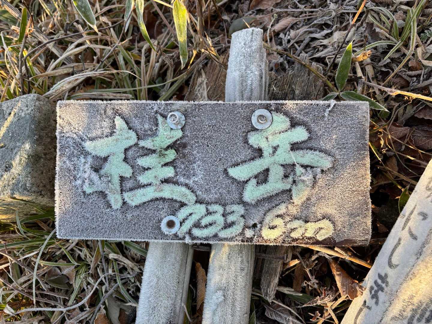 桂岳ピーク到着😆👍