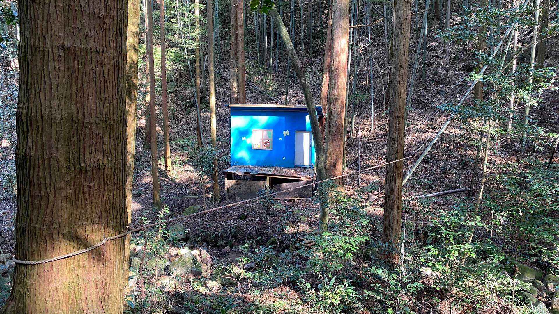 城山 周回コースの写真
